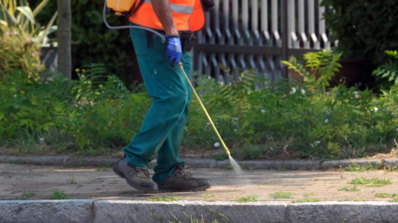 Disinfestazioni nei luoghi di aggregazione di persone. a rischio come anziani e disabili