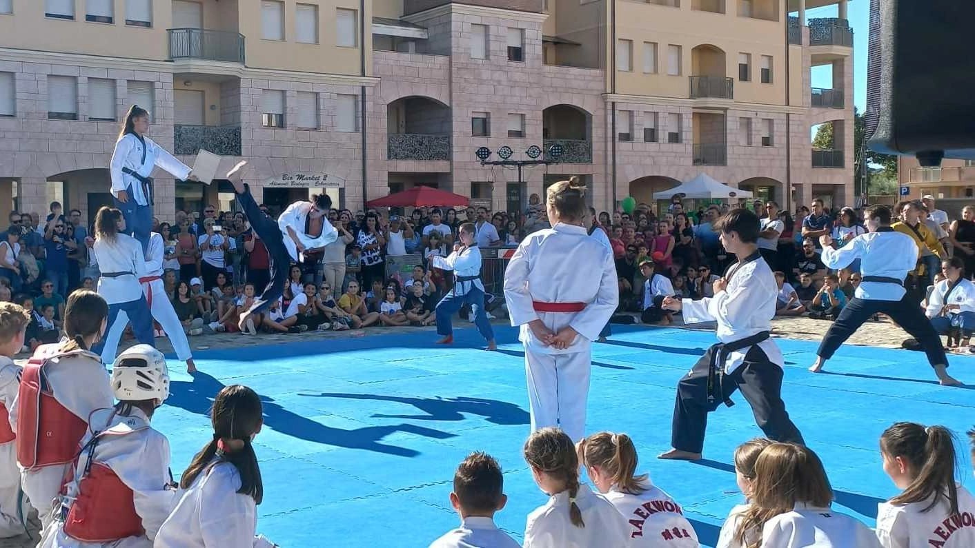 Centinaia alla ’Festa dello sport’, ma è bufera sulla gestione delle palestre