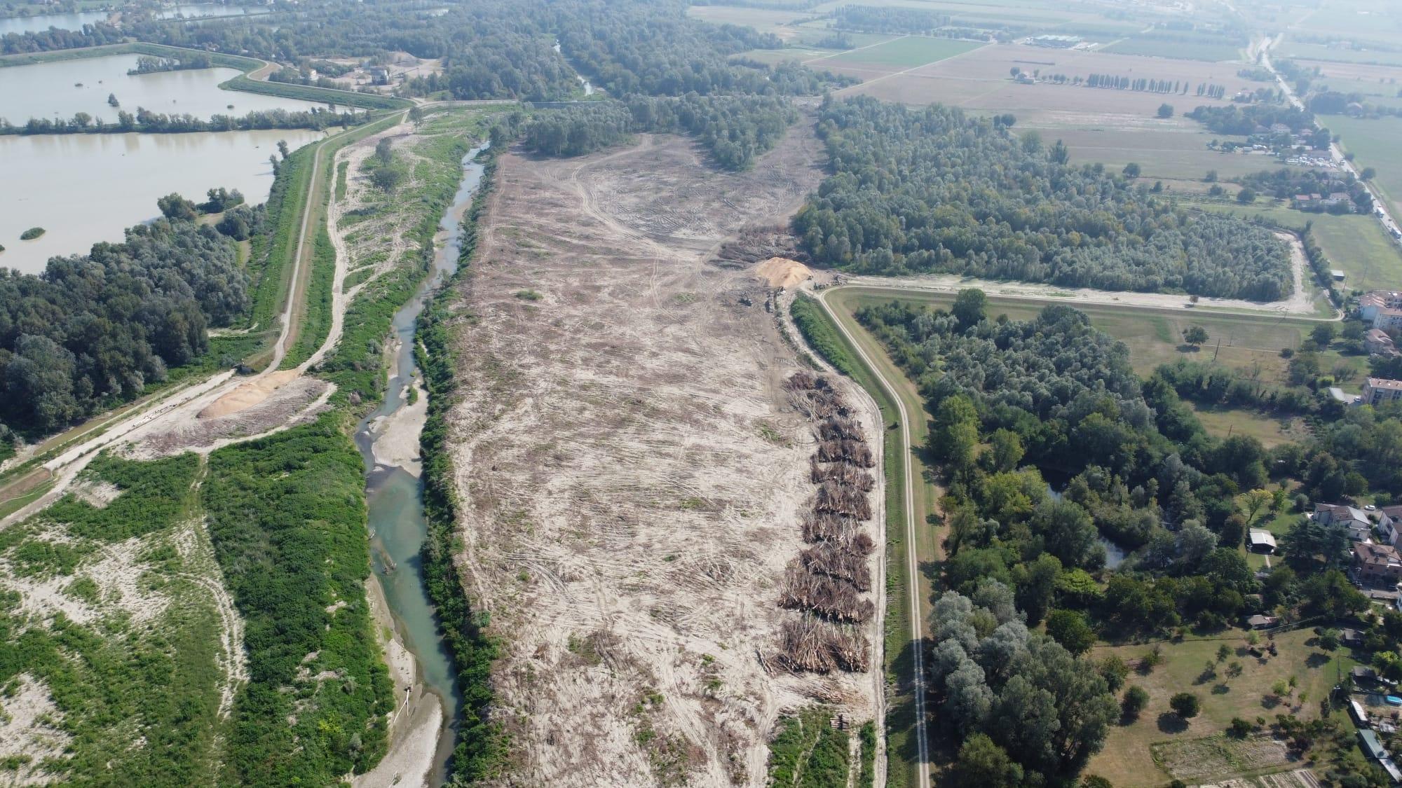 Taglio alberi nel bosco del Secchia, l’Ente Parchi attacca Aipo: “Lavori difformi dal progetto”