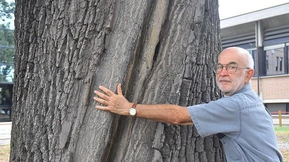 Il professore ed esperto di botanica Ugo Pellini, mentre abbraccia un albero centenario