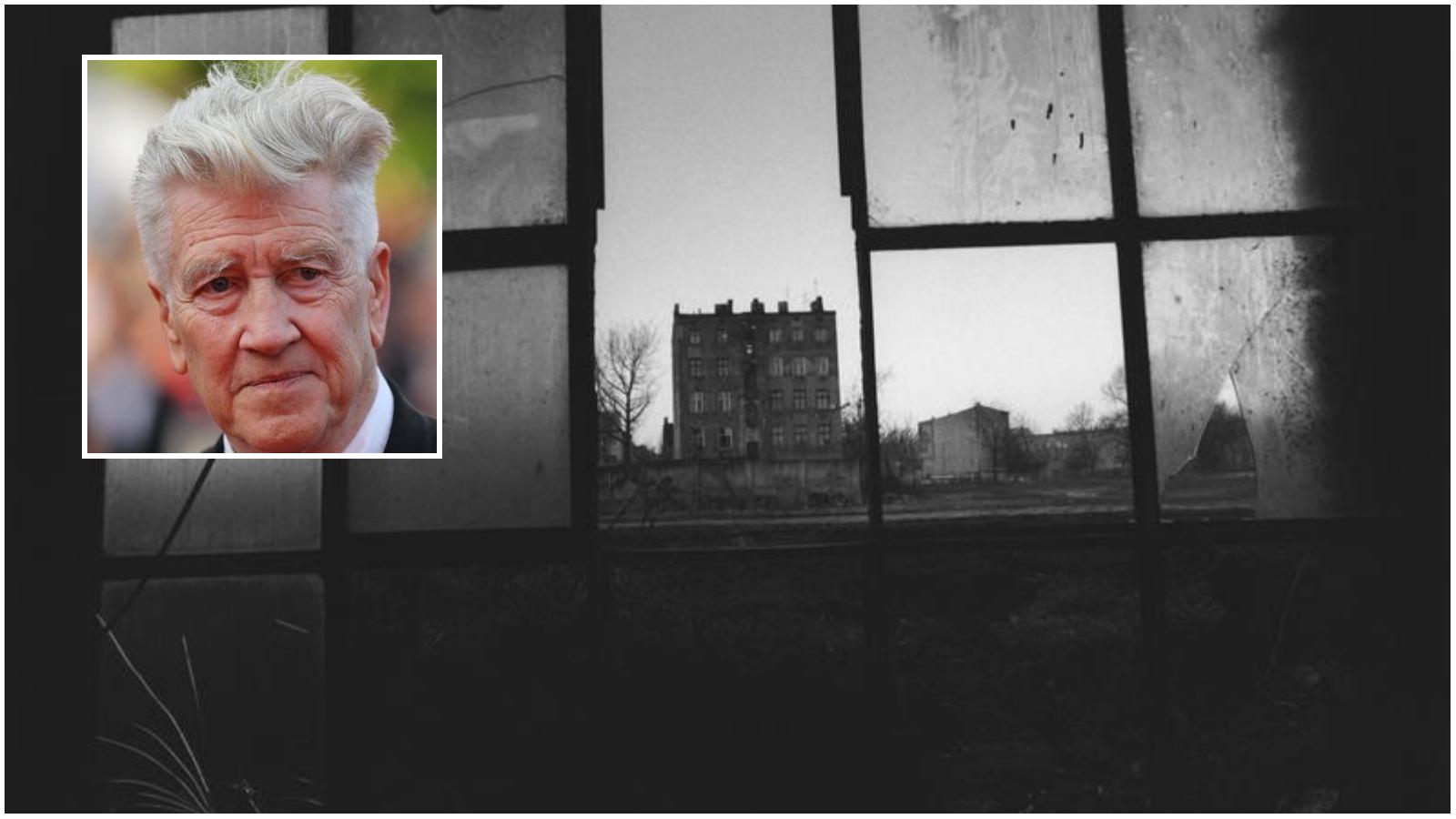 David Lynch a Bologna, le foto al Mast e i restauri