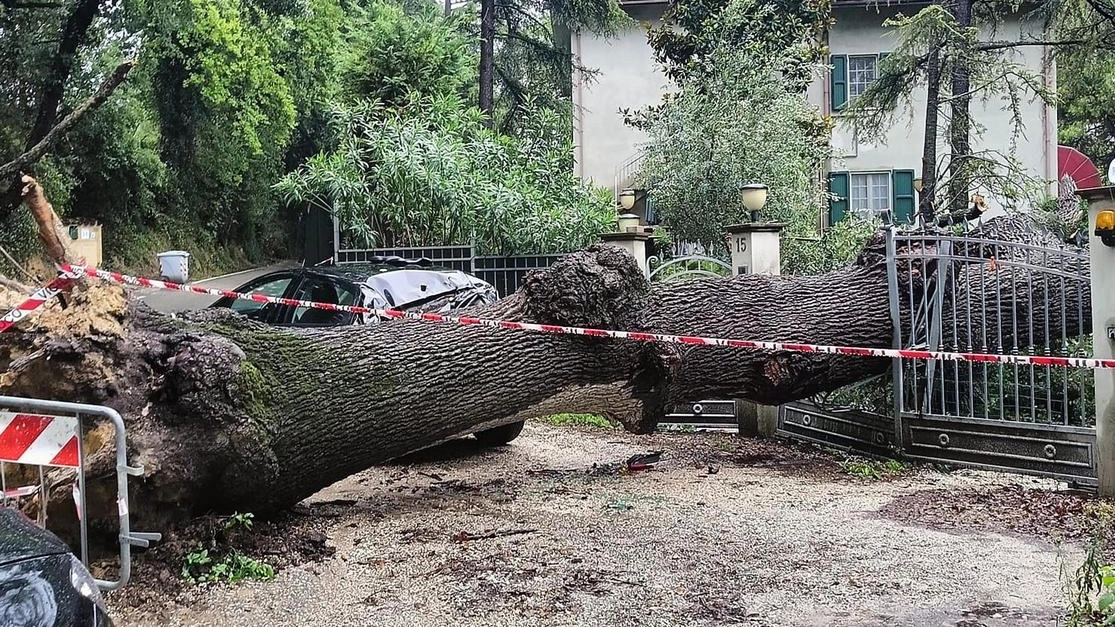 Dal San Bartolo a Pontevalle, ma anche in centro: tanti gli interventi