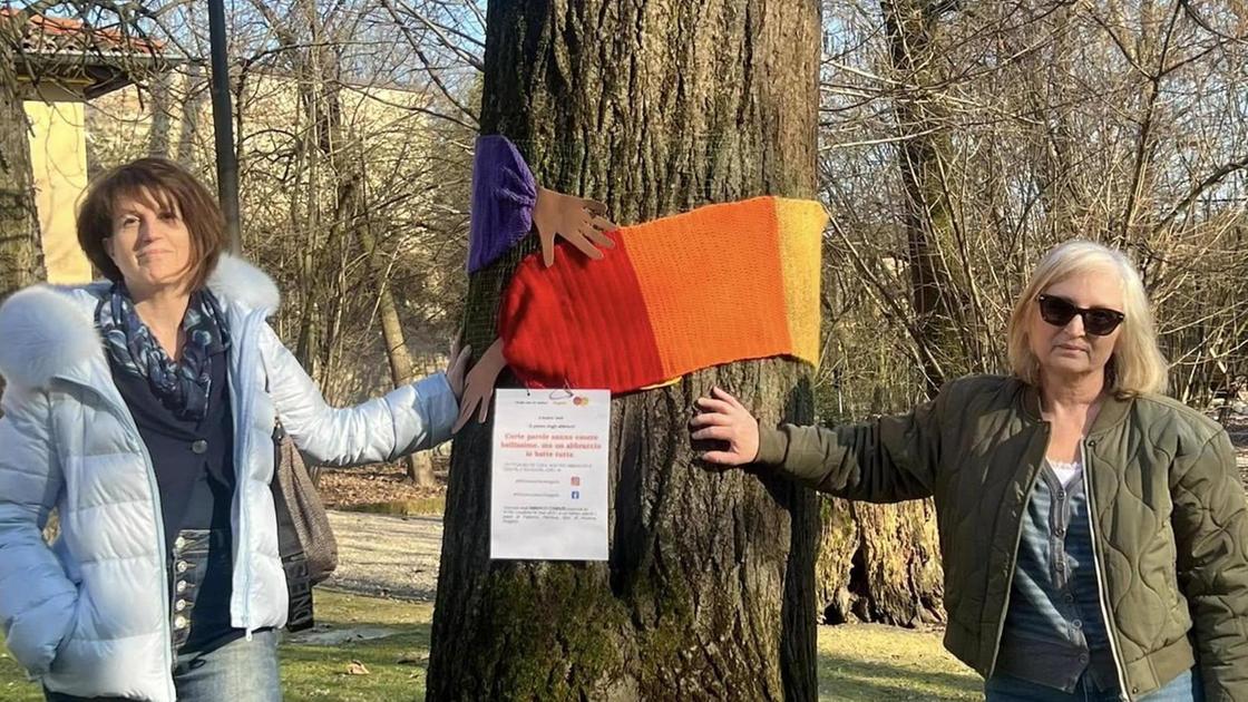 Le sciarpe delle donne abbracciano gli alberi