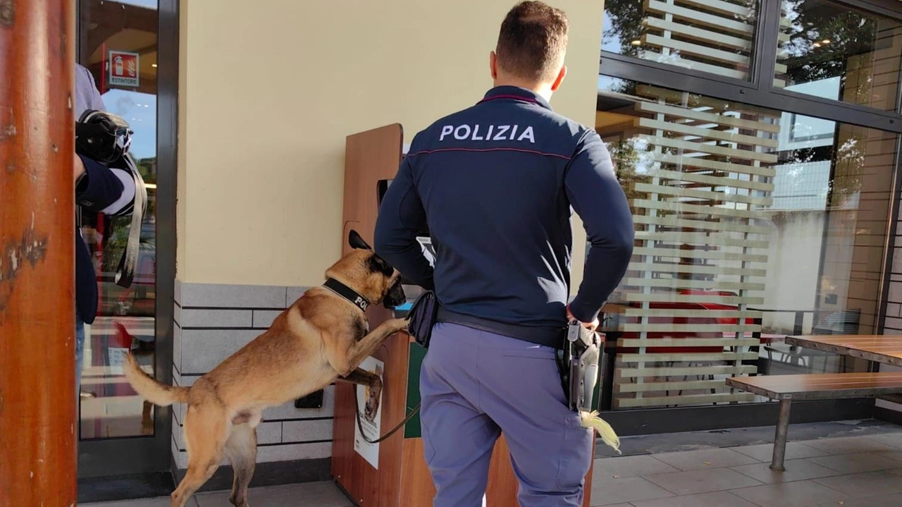 Pregusta lauti guadagni con recensioni di attività commerciali ma perde 3.440 euro. La polizia avvia le indagini e arriva a...