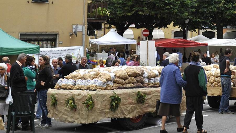 Maltempo, salta la festa della patata