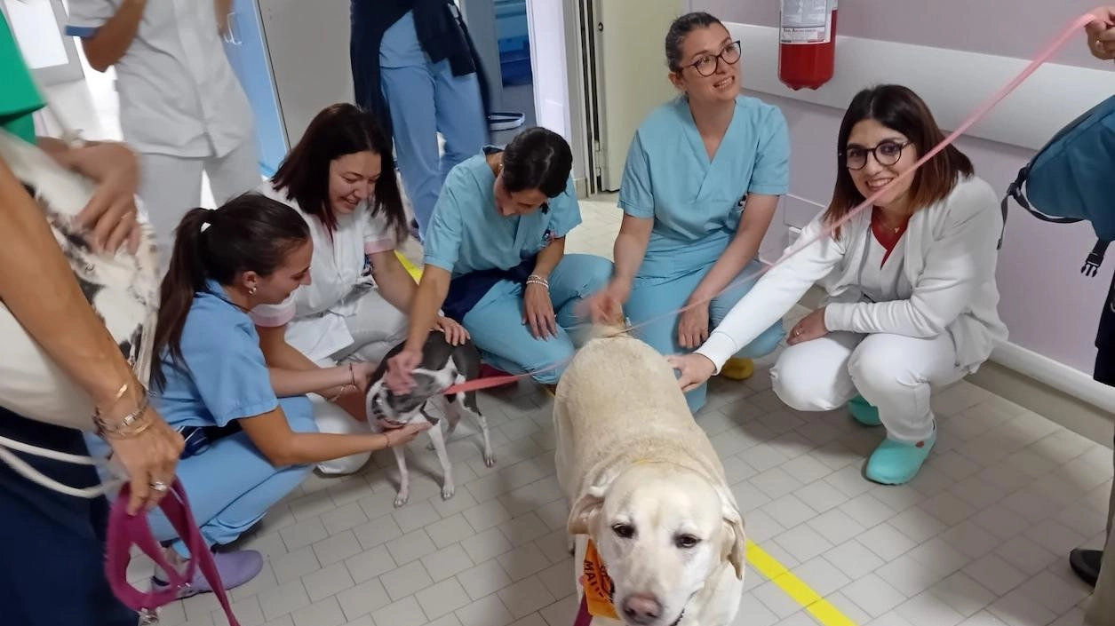 La magia di quattro cani e un gatto. Pet therapy contro l’angoscia per le pazienti oncologiche