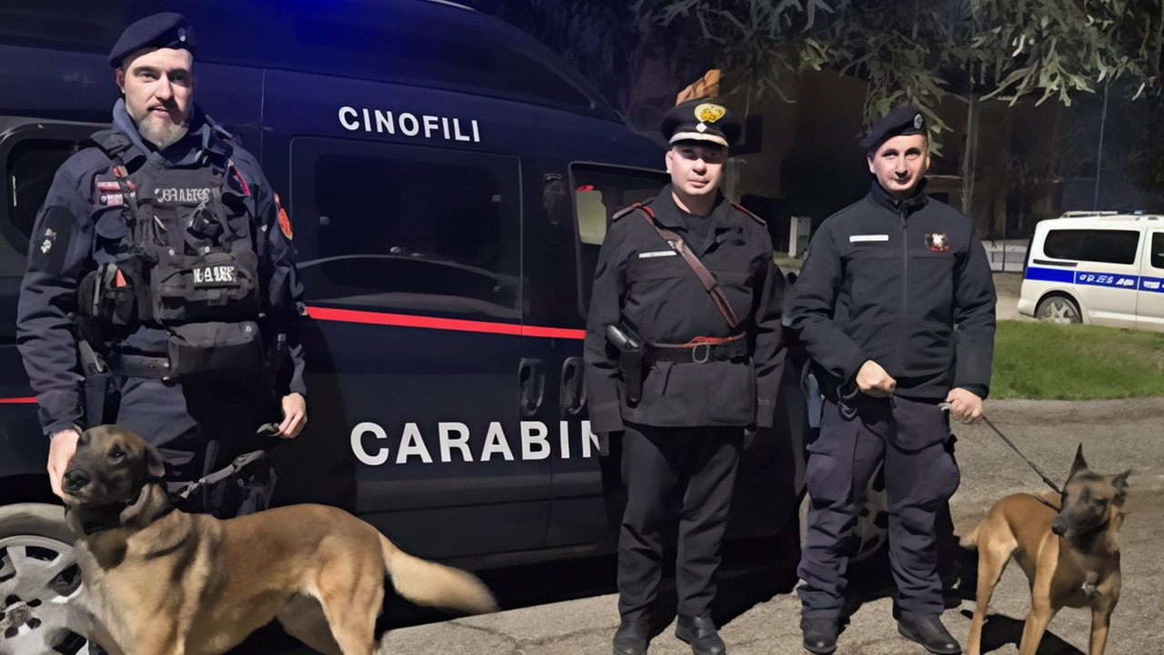 Decine di mezzi controllati sabato pomeriggio dai carabinieri e dalla polizia locale a Borgo Massano di Montecalvo in Foglia. Durante...