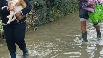 Fissata un’assemblea pubblica per venerdì 27 dicembre: "Serve anche un referente per le situazioni d’emergenza".