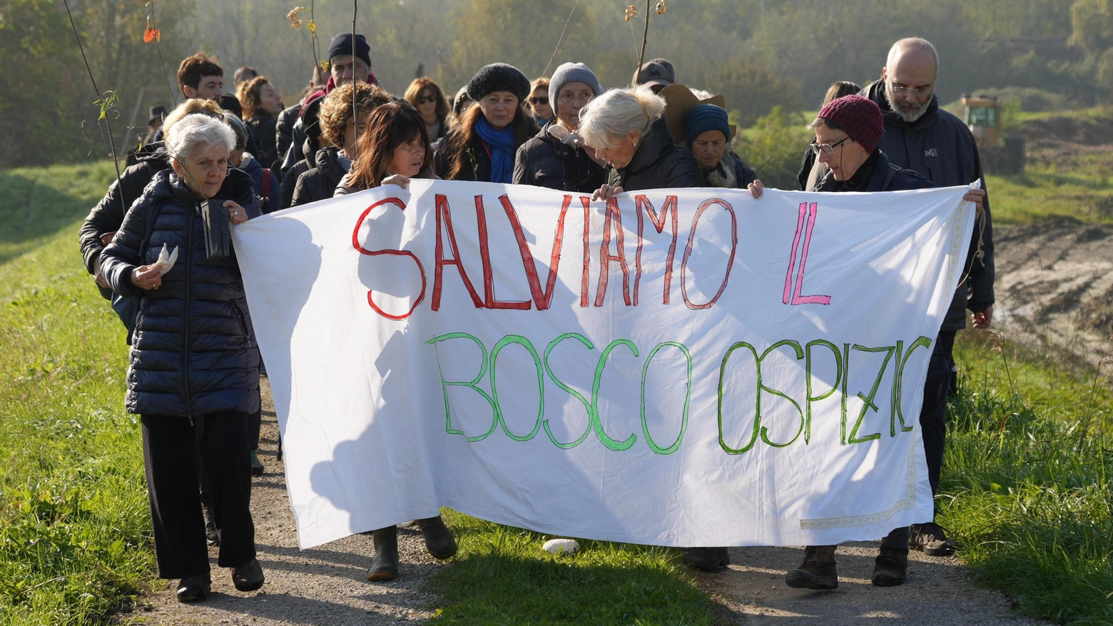 Disboscamento lungo il Secchia: "Subito un tavolo di confronto"